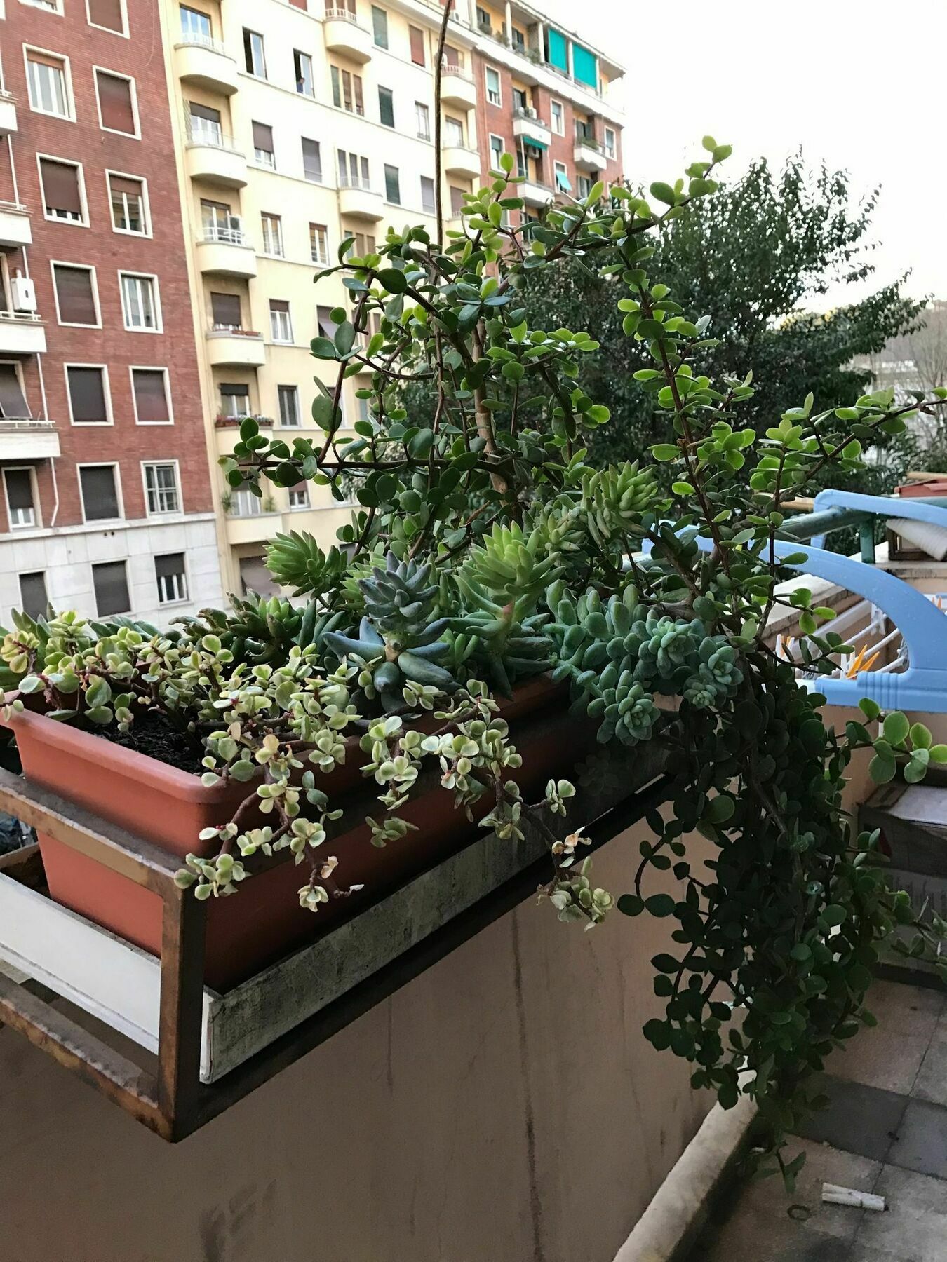 Pardis Guest House Рим Экстерьер фото